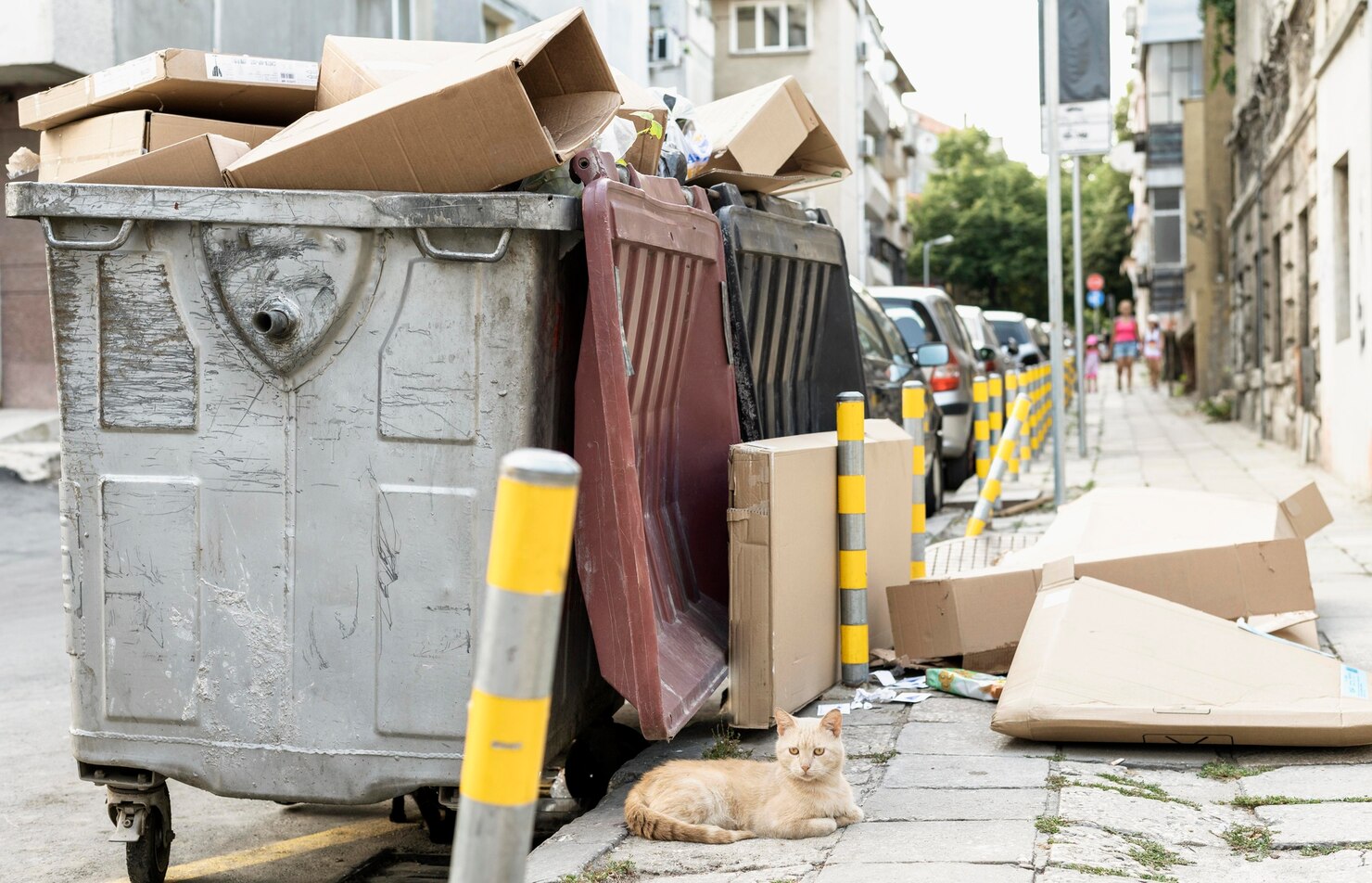 skip bin services