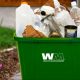 Waste Management Initiatives in Abu Dhabi